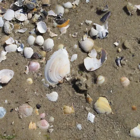 Haus Anneliese Apartamento *