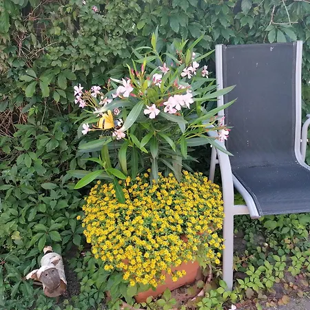 Haus Anneliese * Uckeritz