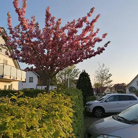 Haus Anneliese Apartamento