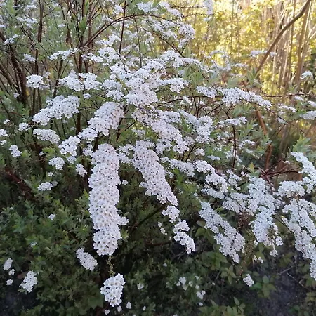 Haus Anneliese Apartamento