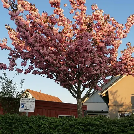 Apartamento Haus Anneliese Uckeritz